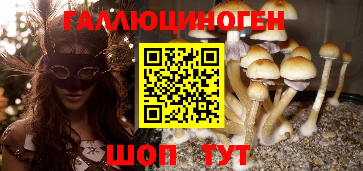 Псилоцибиновые грибы Magic Shrooms  Вход с VPN  Галлюциногенные грибы прущие грибы  Каменка 