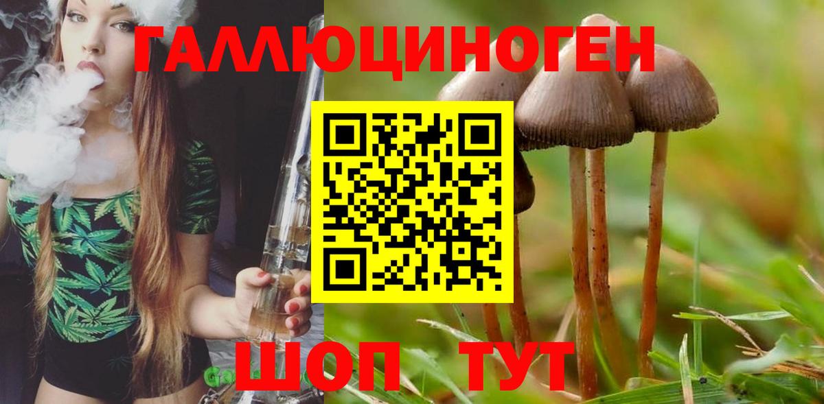 Галлюциногенные грибы GOLDEN TEACHER Каменка